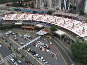 Captaron un majestuoso animal en la Terminal de Córdoba: el video