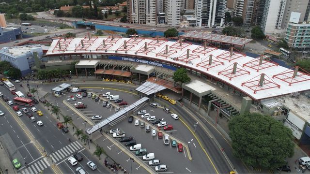 El animal que sorprendió a locales y turistas en Córdoba.