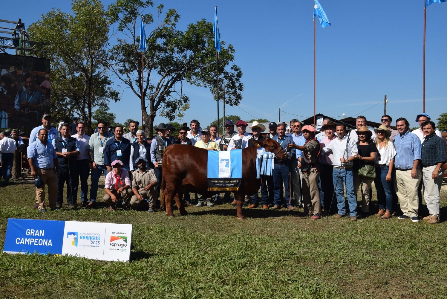 Banco Macro estará presente en los eventos más importantes que organiza y participa la Asociación Argentina de Brangus.