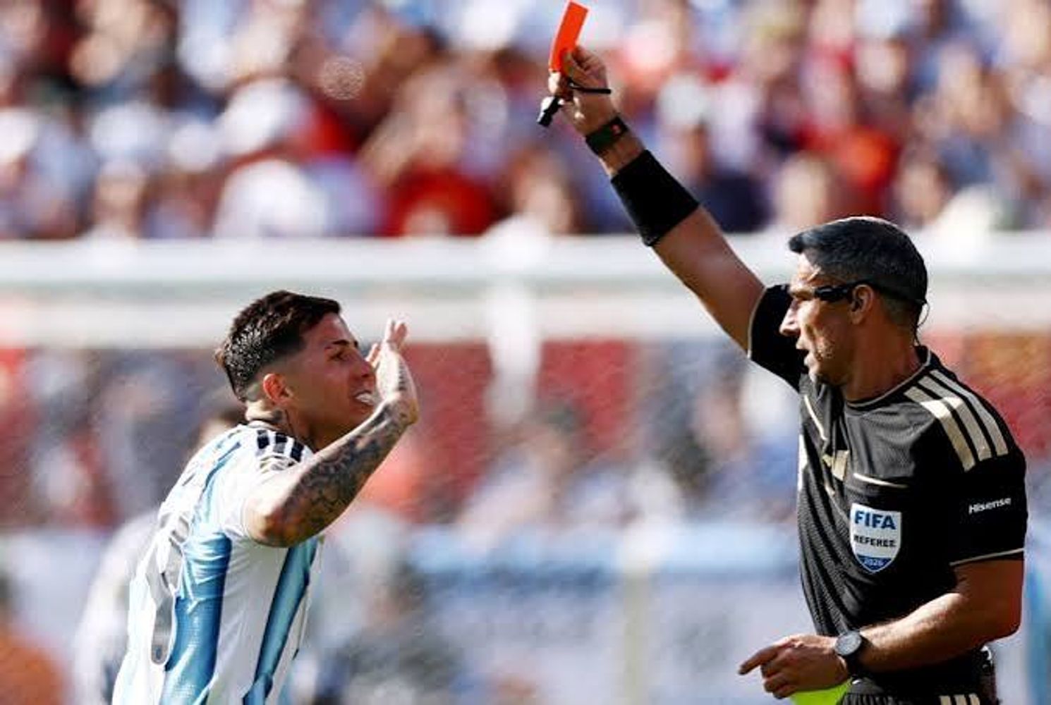 Slavko Vinčić arbitró la final entre Argentina y España.