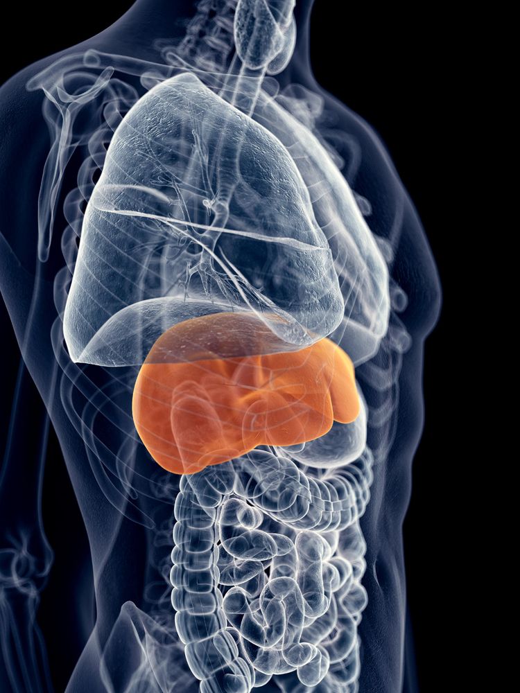 Hepatitis.