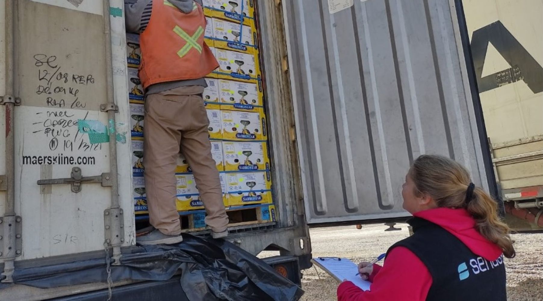 Entre otros puntos, el pedido de informes indaga sobre el criterio fitosanitario para eliminar controles de plagas sobre productos frutihorticola importados y si hubo consultas a los organismos provinciales competentes en materia fitosanitaria.