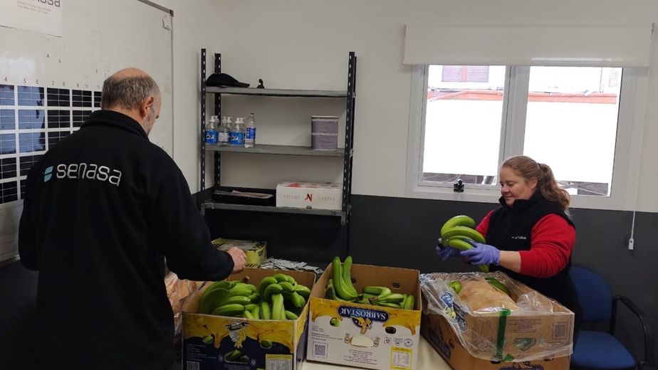 Cuestionan en el Congreso la medida que pone en jaque a los cultivos de banana de Jujuy y Salta