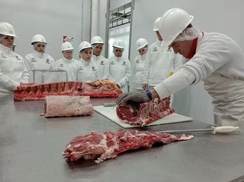 Expo del Empleo 2026: la experiencia de una empresa abrirá el debate sobre cómo construir carreras laborales
