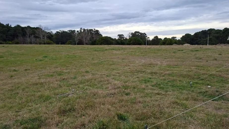Claromecó: el Municipio invertirá cerca de $118,5 millones en el alumbrado para el sector de Un Lote para Mi Familia
