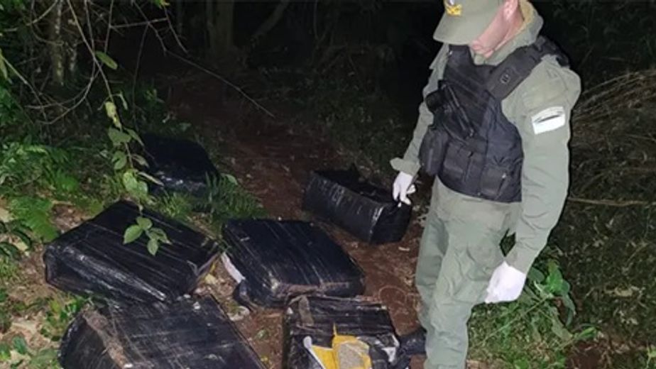 Eldorado: Gendarmería secuestró más de 217 kilos de marihuana tras un operativo en una zona selvática