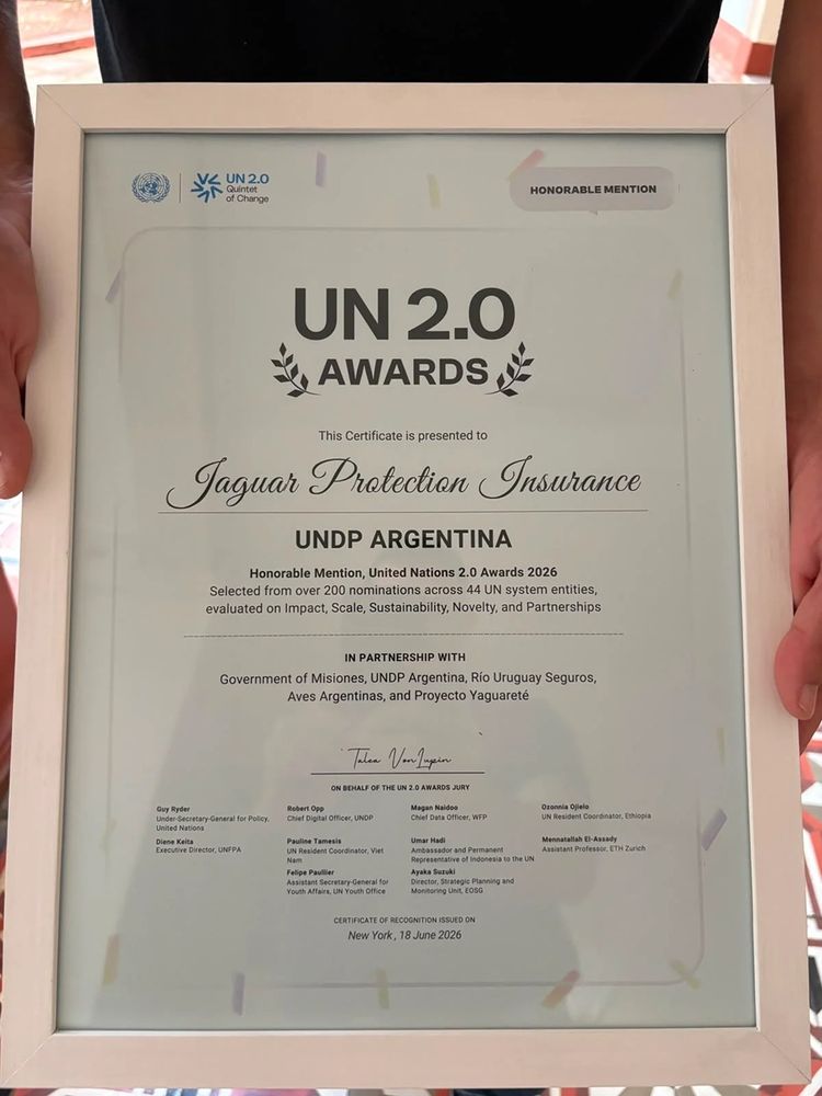 La ONU distinguió a Misiones por el Seguro del Yaguareté, una política que combina conservación y producción.