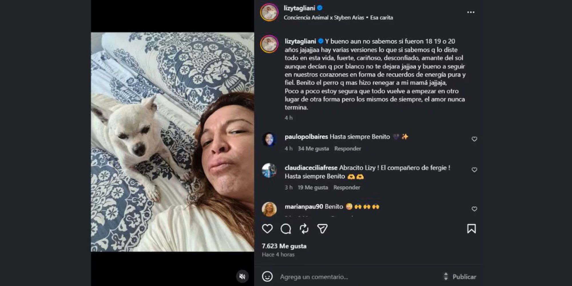 El emotivo adiós de Lizy Tagliani a Benito.