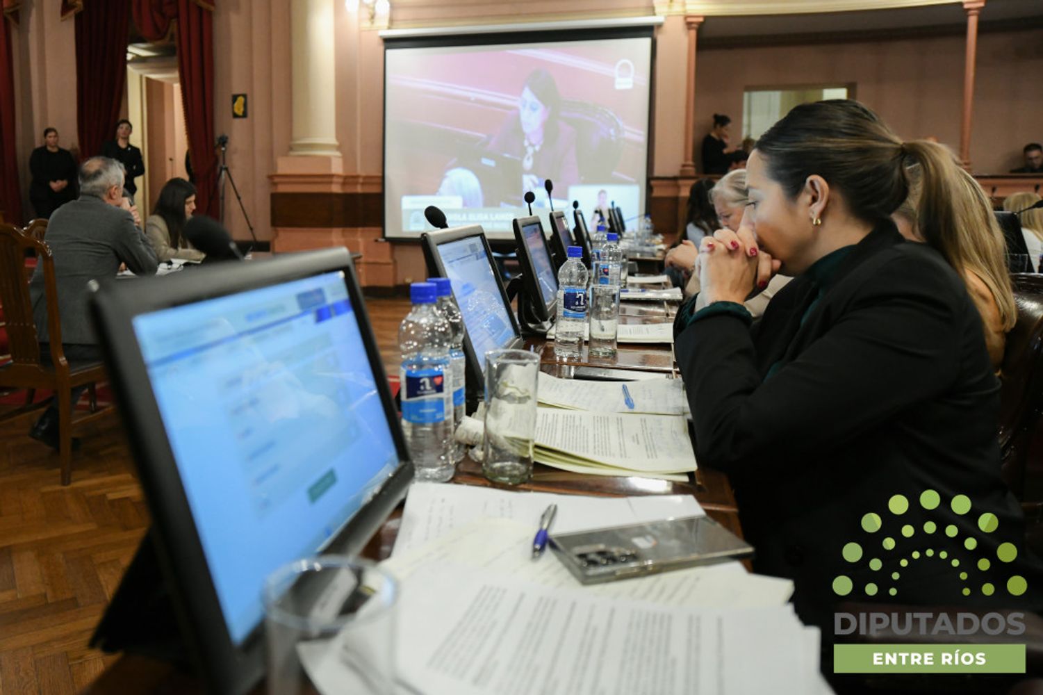 Diputados convirtió en ley la reforma previsional de Entre Ríos tras un extenso debate.
