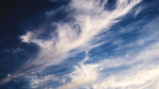 Las zonas afectadas por el viento en Córdoba este viernes 31 de julio.