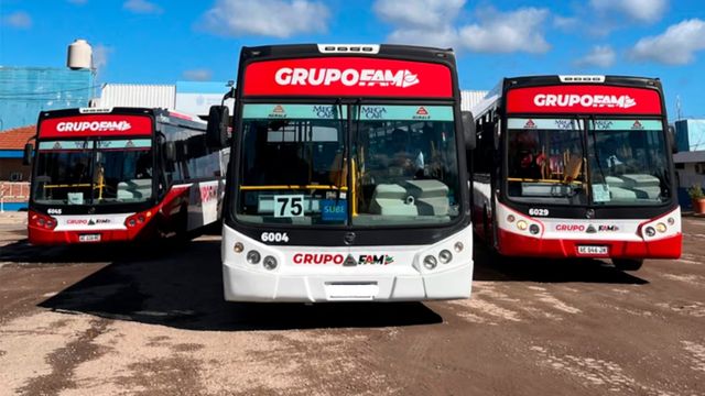 Los motivos del paro de interurbano de FAM.