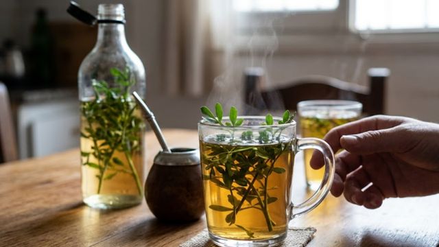 Atención: Quiénes no deben tomar té de ruda este 1° de agosto, según los especialistas