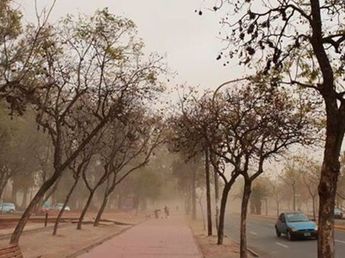 El clima en Córdoba: alerta por fuertes vientos y alto riesgo de incendios forestales