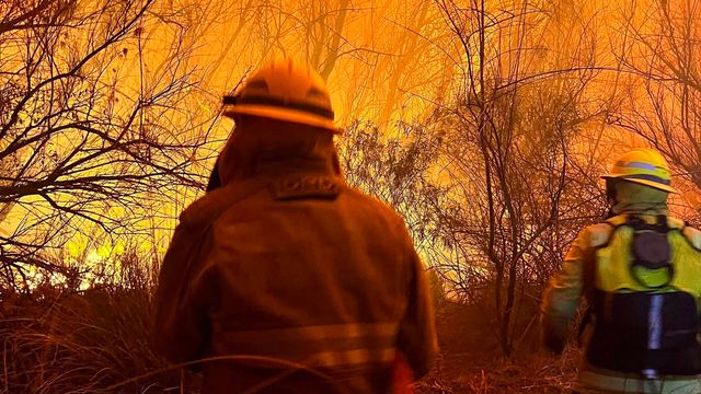 Participaron siete dotaciones de dos cuarteles de bomberos voluntarios de la región.