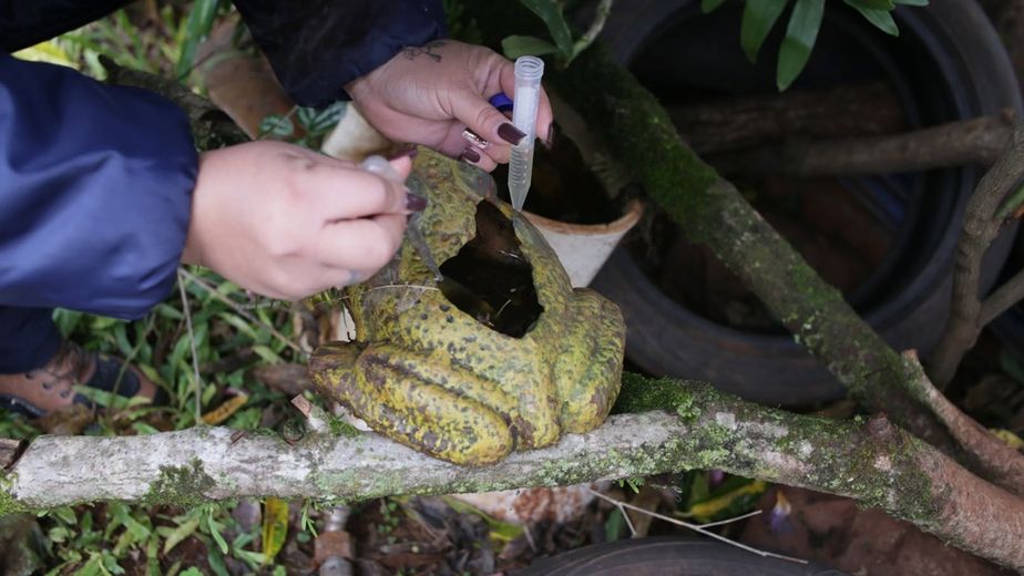 Eldorado inicia un relevamiento para medir la presencia del mosquito transmisor del dengue
