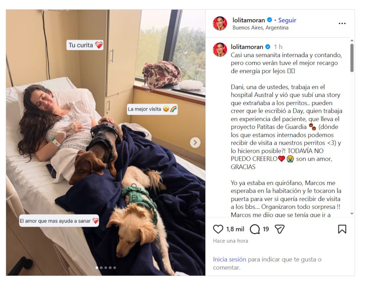 La actriz recibió una emotiva visita de sus perros durante su internación.