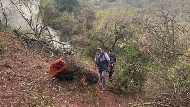 El hallazgo se produjo tras un operativo a pie de varios kilómetros por el Cerro del Campo.