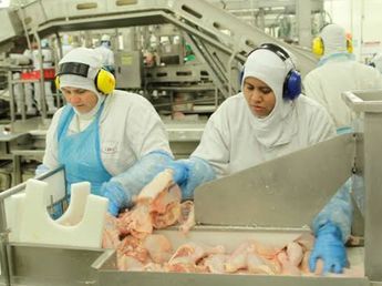Cerró una histórica fábrica en Córdoba y crece la incertidumbre por 350 trabajadores