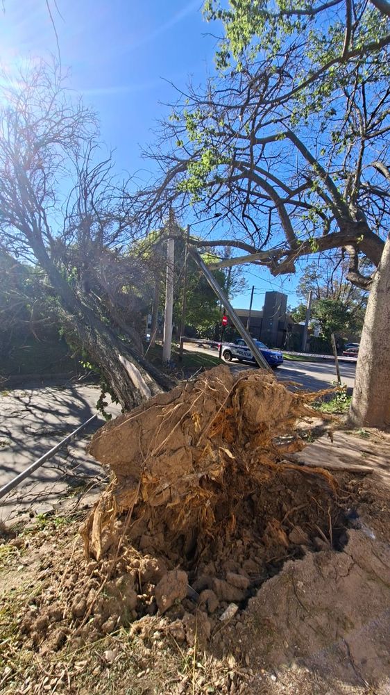 Fuerte viento en Córdoba
