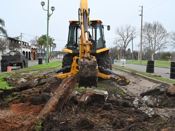 Avenida Parque recupera sus plazoletas con una obra que cambiará el paseo urbano