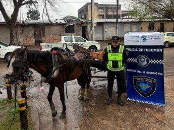 Robo de cables: aprehendieron a un hombre y secuestraron un caballo
