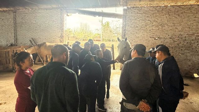 La formación incluyó nociones de alojamiento, alimentación, manejo y atención veterinaria para los equinos.