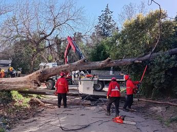 Cambio de tiempo en Córdoba: el SMN anticipó fuertes ráfagas de viento