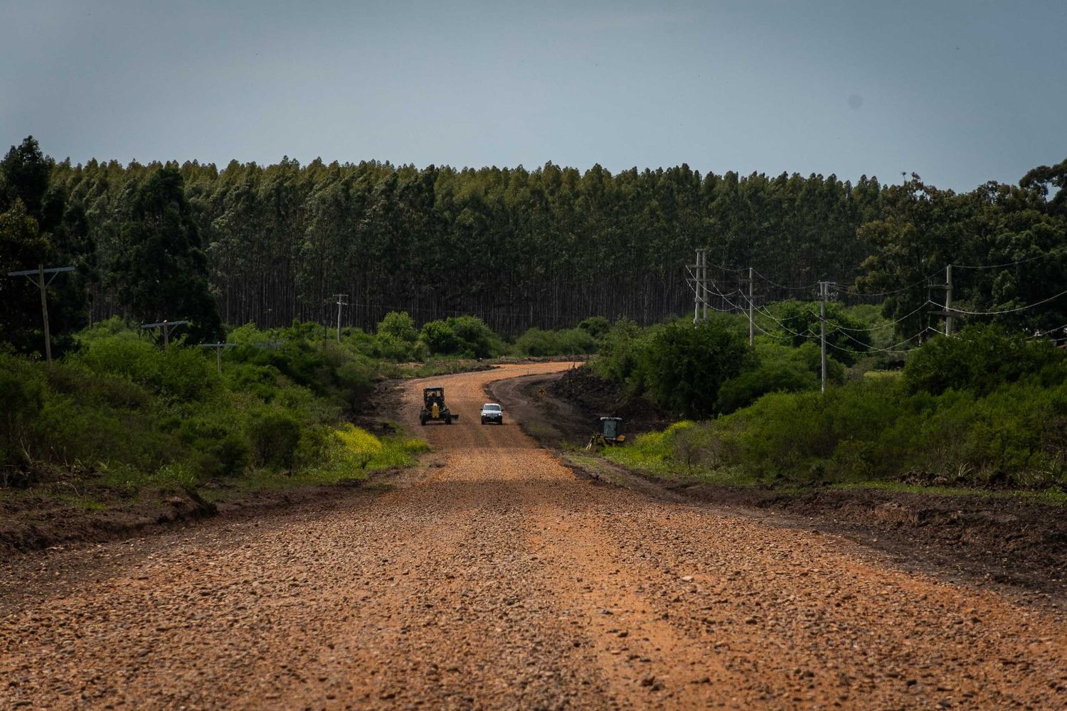 Caminos rurales ER.