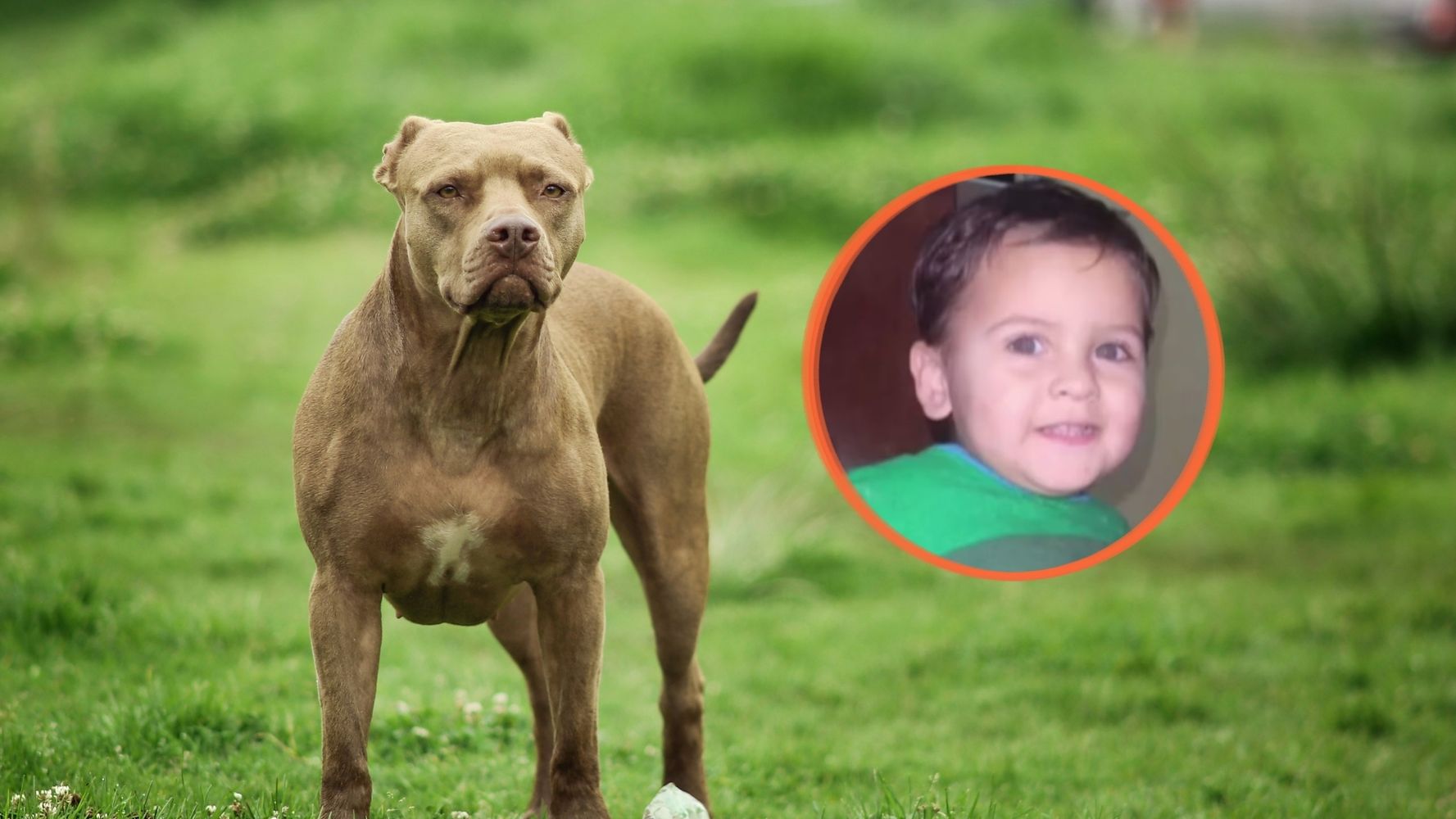 Salvador, el nene que murió por el ataque de un perro pitbull en Córdoba.