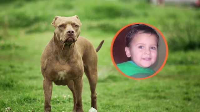 Salvador, el nene que murió por el ataque de un perro pitbull en Córdoba.