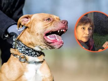 “Los crié...”: la polémica frase de una familiar de la dueña del pitbull que atacó a un nene en Córdoba