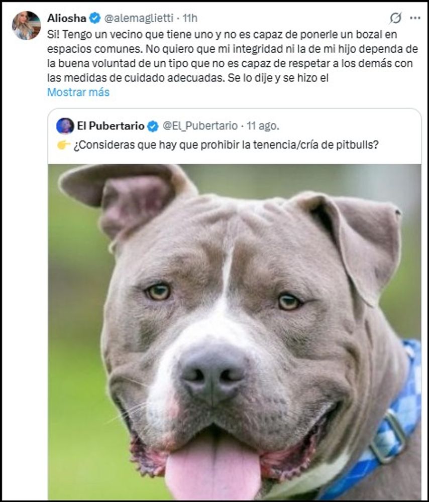 El enojo de Alejandra Maglietti por encontrarse con un pitbull sin bozal