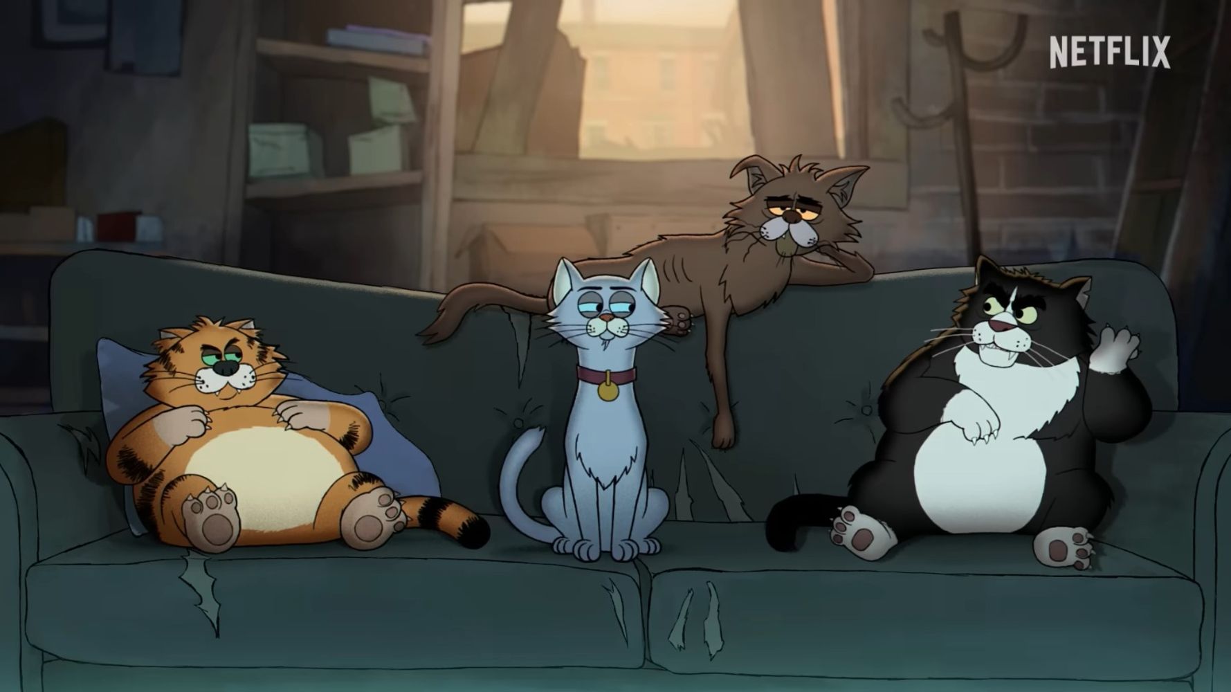 Gatos callejeros con 6 capítulos.