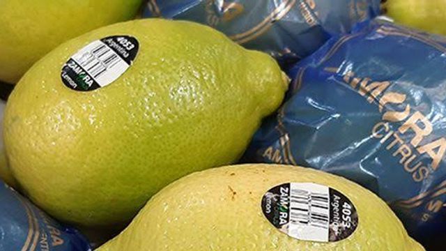 La provincia, primer exportador mundial de derivados industriales del cítrico, gana otro mercado en Centroamérica.