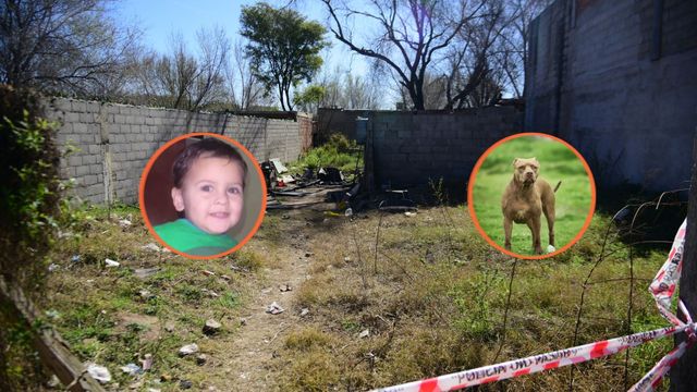 Salvador murió por el ataque de un perro dogo en Córdoba.