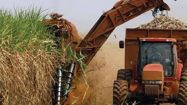 Tucumán, Salta y Jujuy suman más de 11 millones de toneladas de caña molida en lo que va de 2026.
