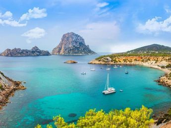 Ofrecen alojamiento gratis en Mallorca a cambio de cuidar perros: cómo funciona