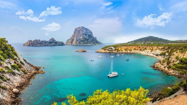 Ofrecen alojamiento gratis en Mallorca a cambio de cuidar perros: cómo funciona
