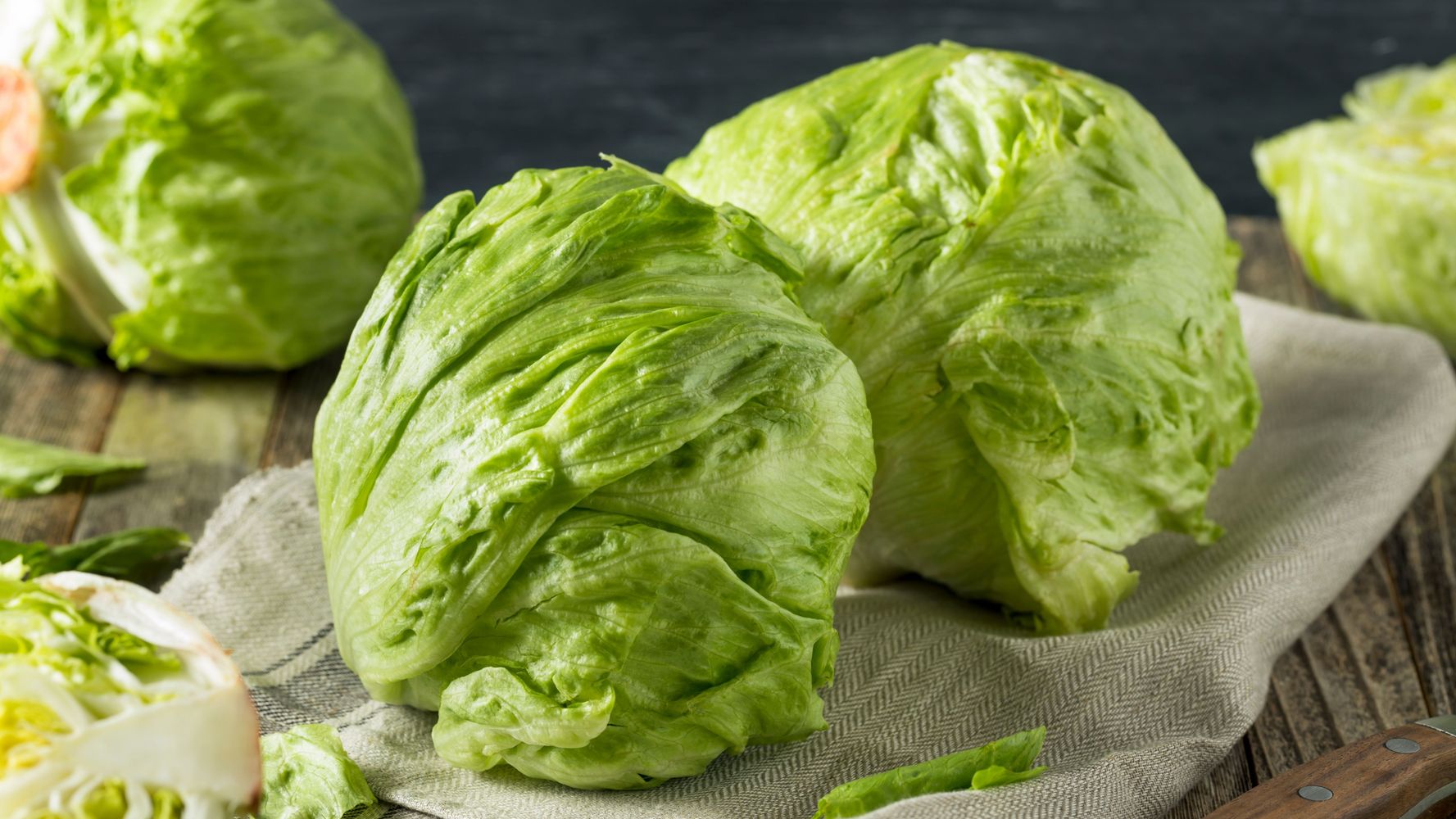 La lechuga repollada, la favorita de muchos.