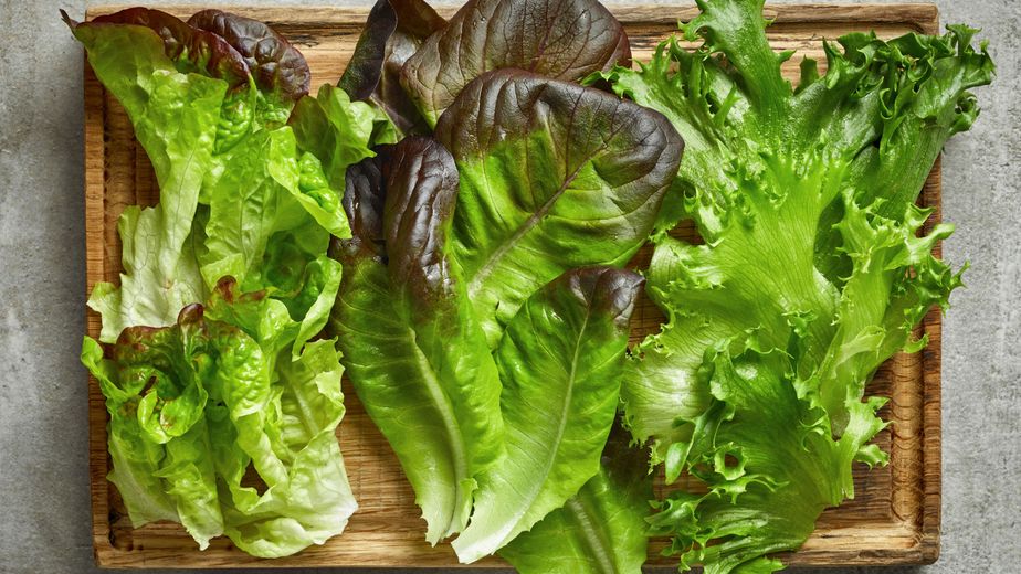 No son todas iguales: cuáles son los tipos de lechuga que se venden en Argentina y cuál conviene comprar