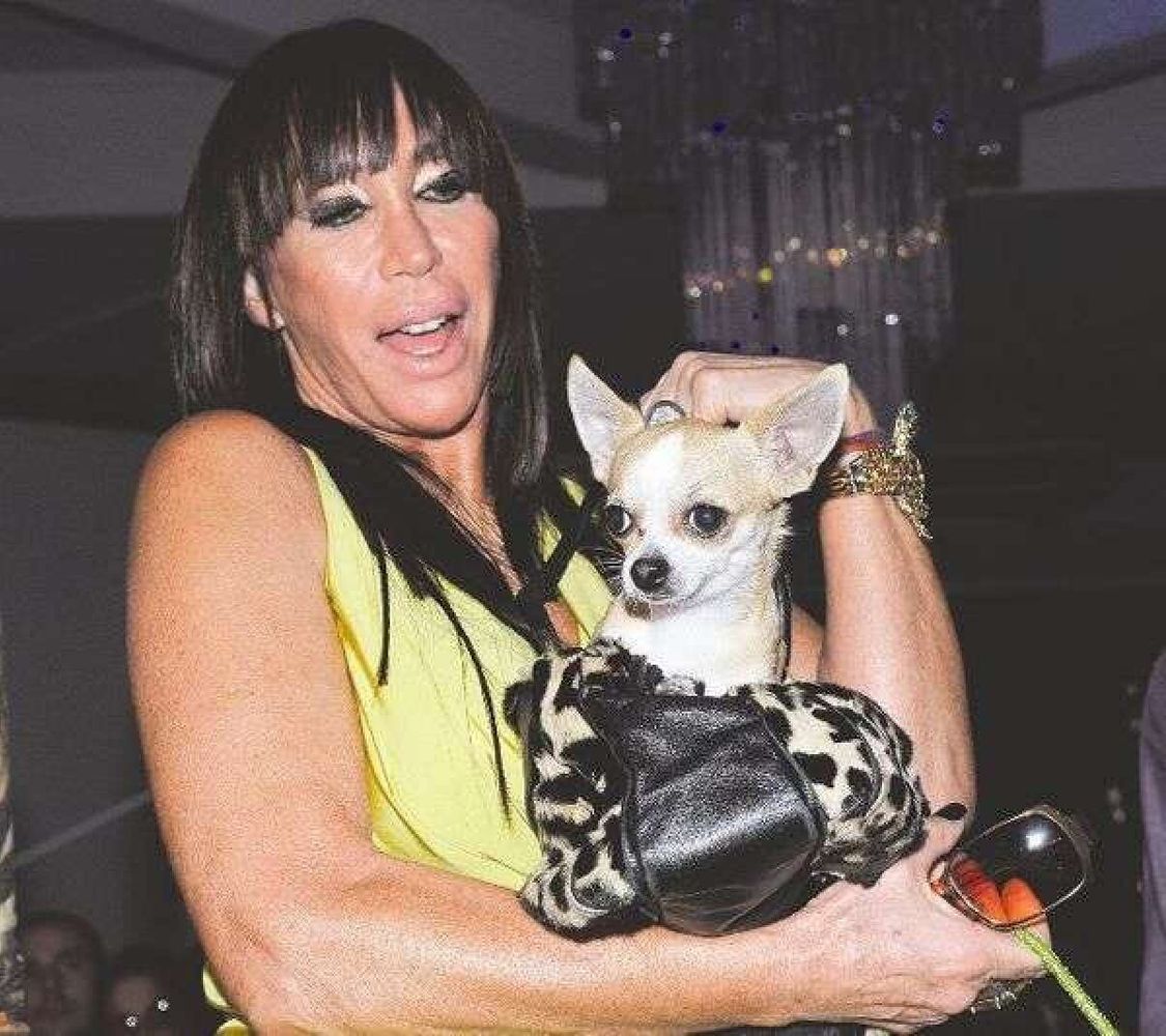 El chihuahua llegó a desfilar junto a Dolores Barreiro y también tuvo sus propias apariciones sobre escenarios junto a “La One”.