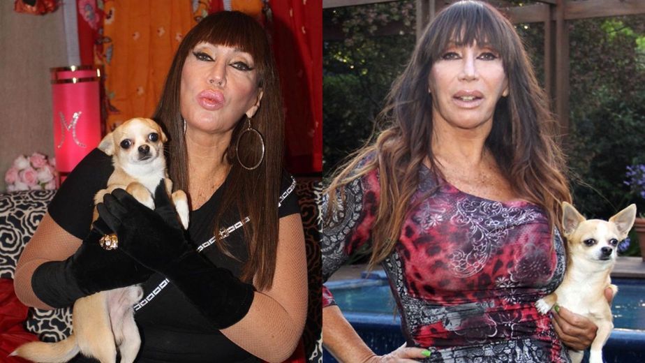 Qué ocurrió con Kristóbal, el perro de Moria Casán que se convirtió en una celebridad de la TV