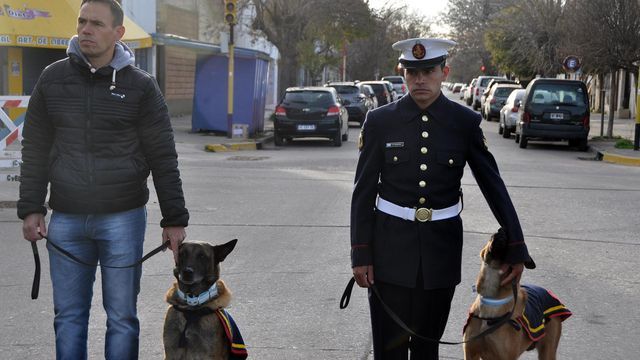 El emotivo homenaje en Rosales: héroes de la "Operación Venezuela" y un perro que salvó vidas