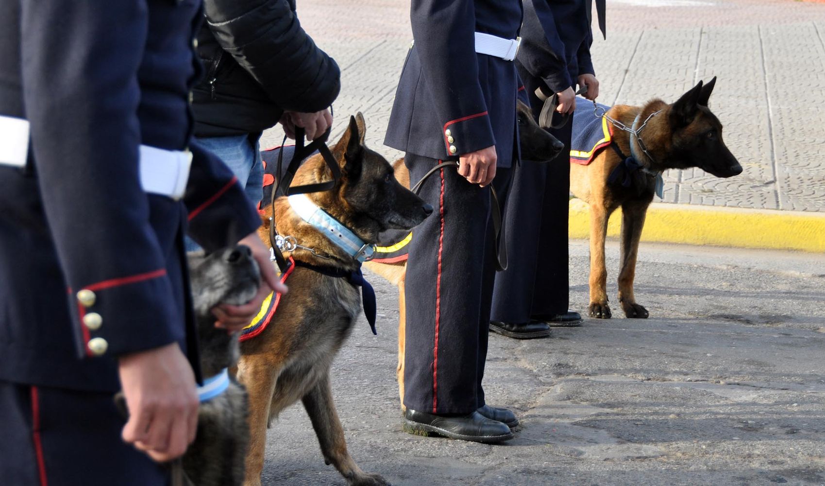 El emotivo homenaje en Rosales: héroes de la "Operación Venezuela" y un perro que salvó vidas