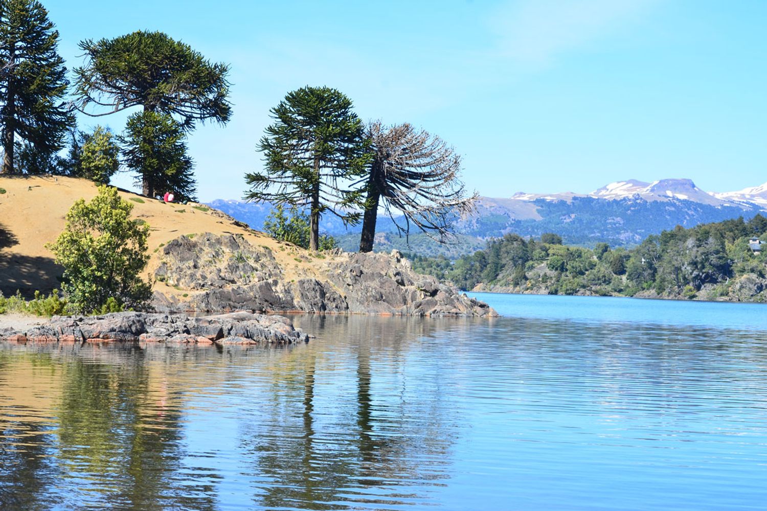 Mas barato que Suiza: el pueblo patagónico con lagos, bosques mágicos y vistas de película
