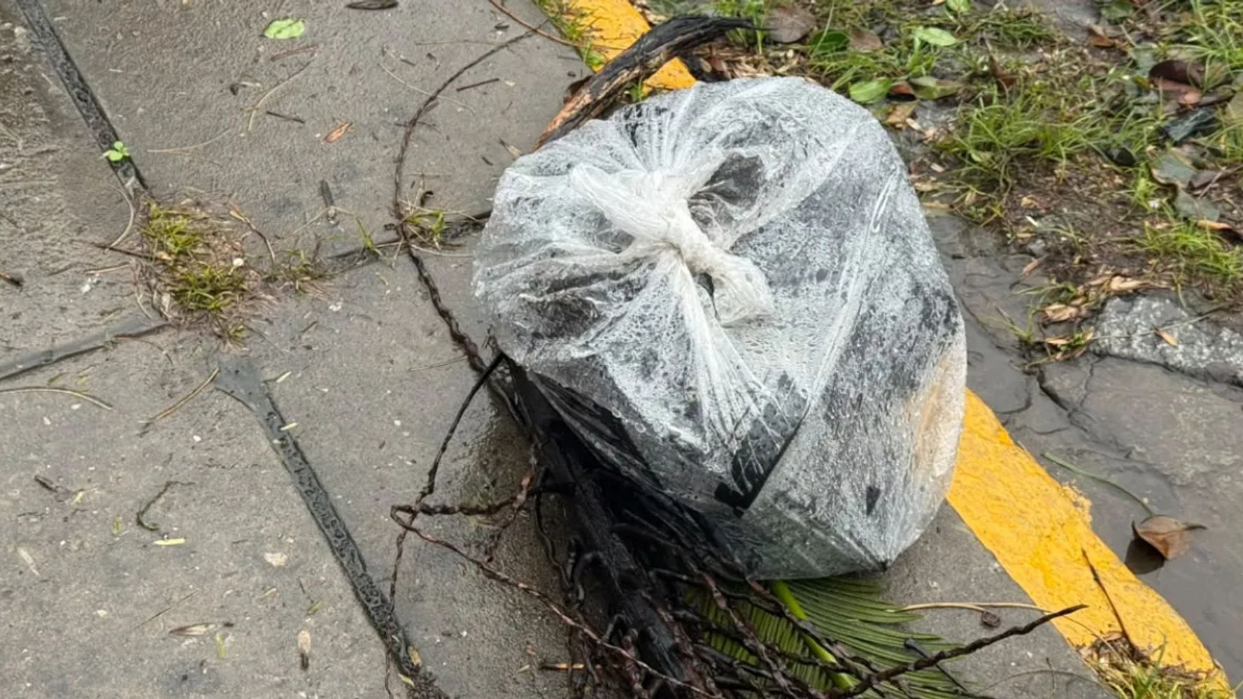 Una joven se metió en una boca de tormenta en Santa Fe