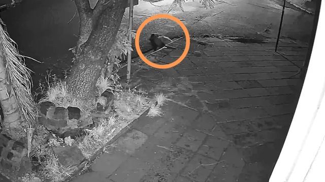 Una joven se metió en una boca de tormenta en Santa Fe