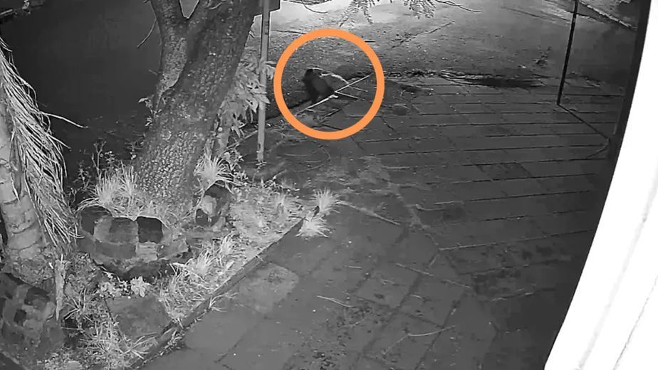 Una joven se metió en una boca de tormenta en Santa Fe
