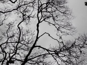 Por qué el cielo está tan gris en Argentina y hasta cuándo seguirá la falta de sol