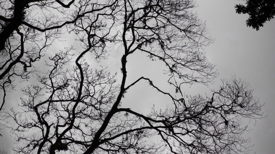 Por qué el cielo está tan gris en Argentina y hasta cuándo seguirá la falta de sol